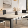 Mesa Icone