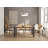 Mesa Icone