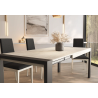 Mesa Icone